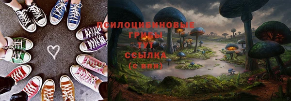 стаф Армянск