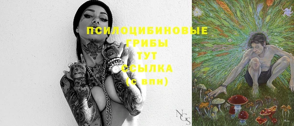 стаф Армянск